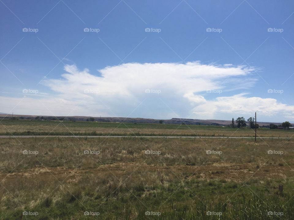 Landscape, No Person, Agriculture, Farm, Outdoors