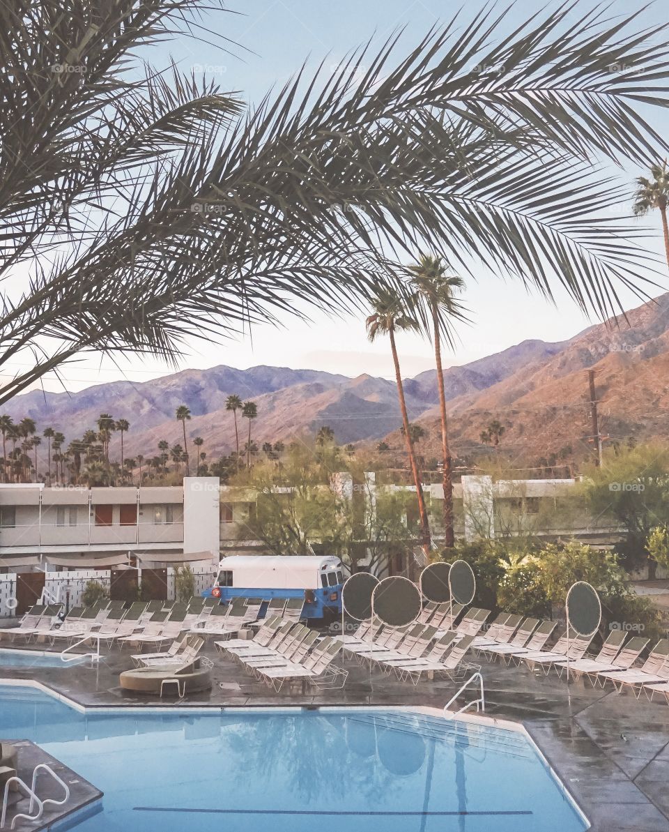 Ace Hotel in Palm Springs, CA
