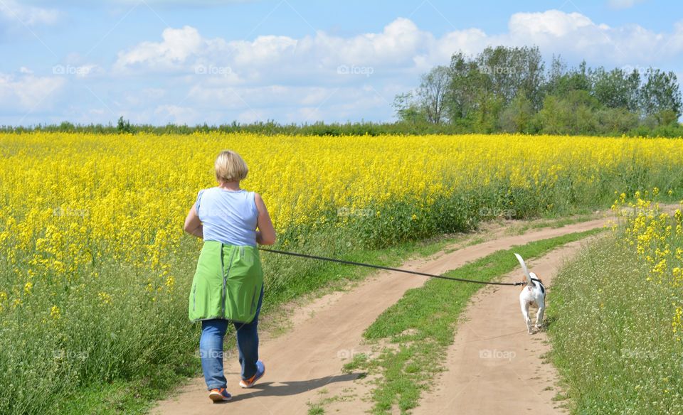 Field, Landscape, Agriculture, Farm, Summer