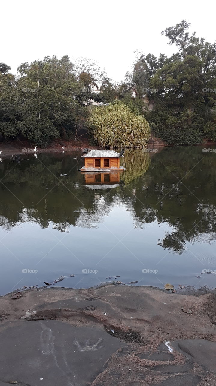 casa de bonecas flutuante.