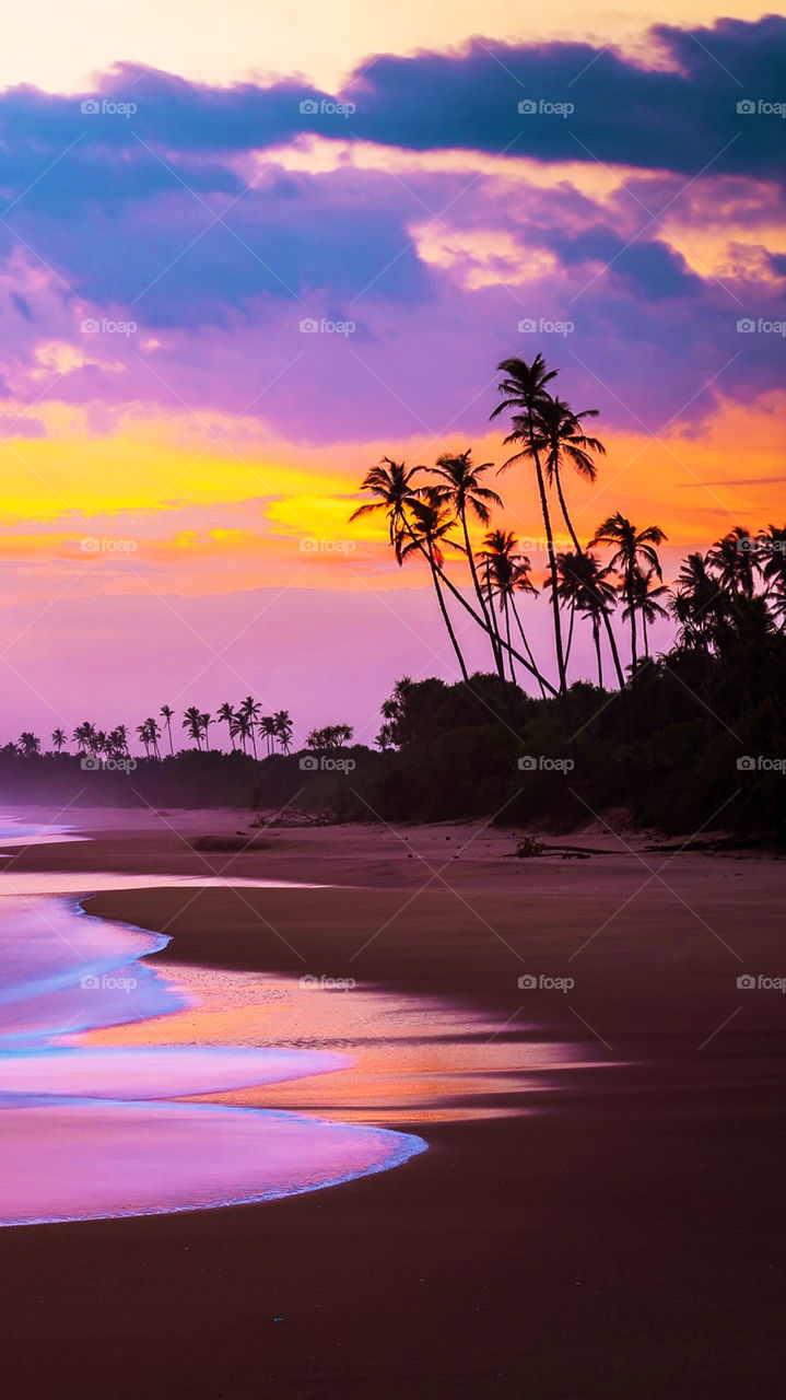 tropical paradise sunset