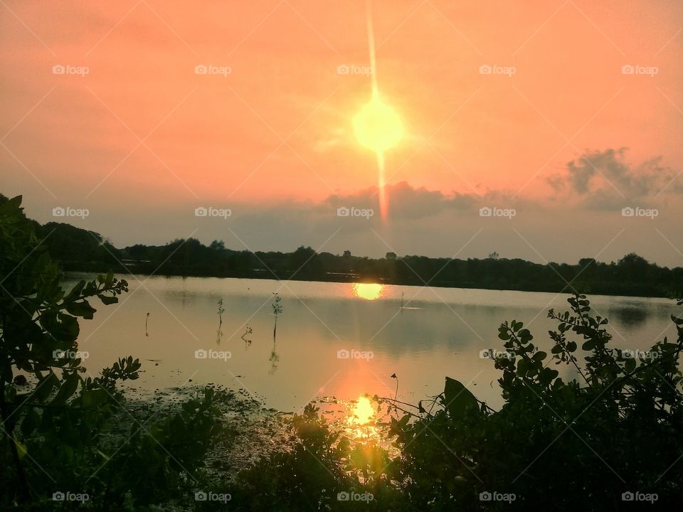 sunset, grass, water & sky