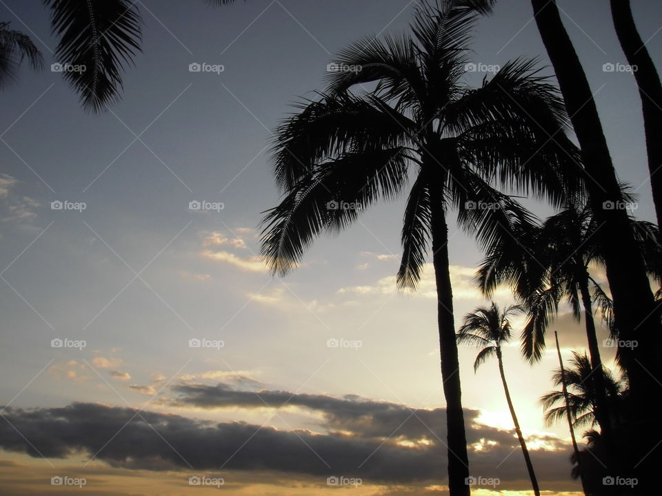 Sun setting in Waikiki. 