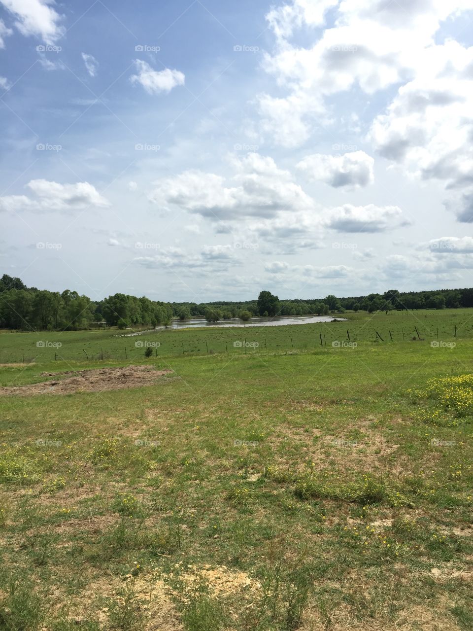 Landscape looking over crawfish ponds in Mississippi 