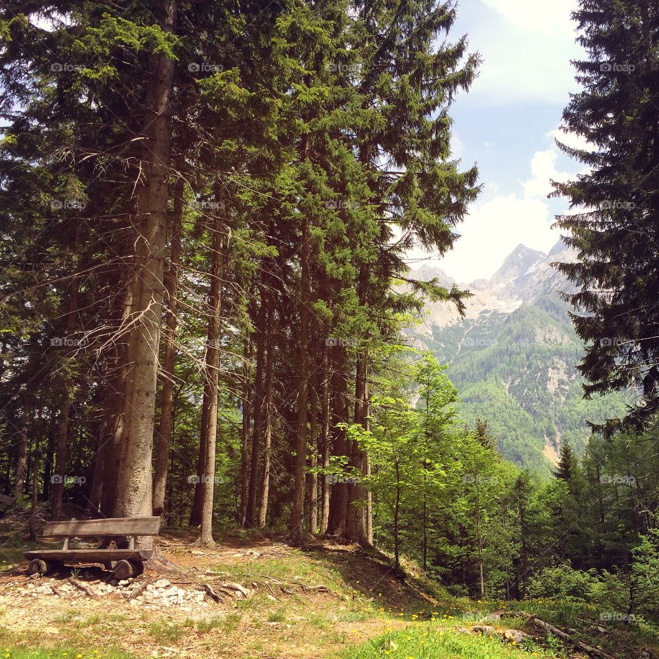 Peak to the Julian Alps. Slovenia 