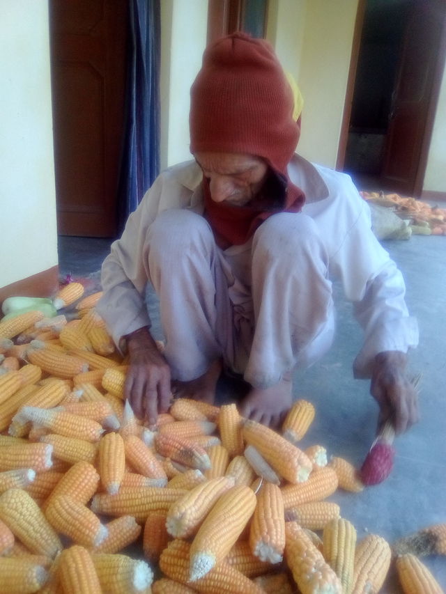 village life