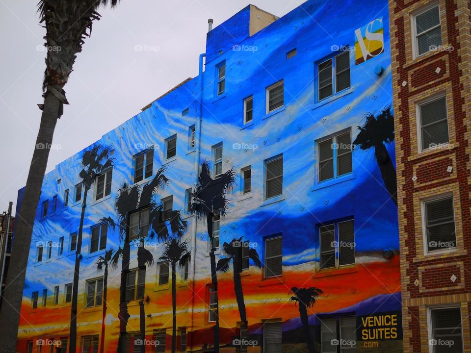 Venice Beach Wall Art
