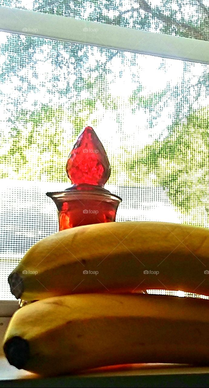 bananas ripening in the morning sun