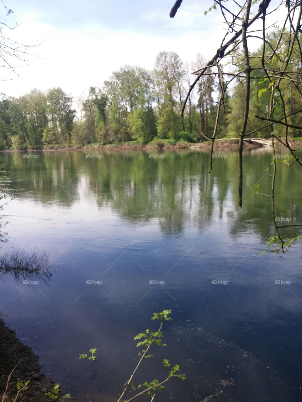 Water, No Person, Reflection, Lake, Tree