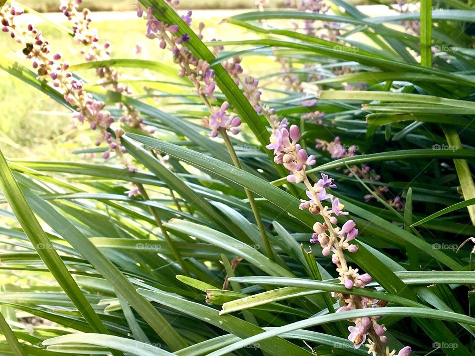 Nature is Beautiful from Every Angle