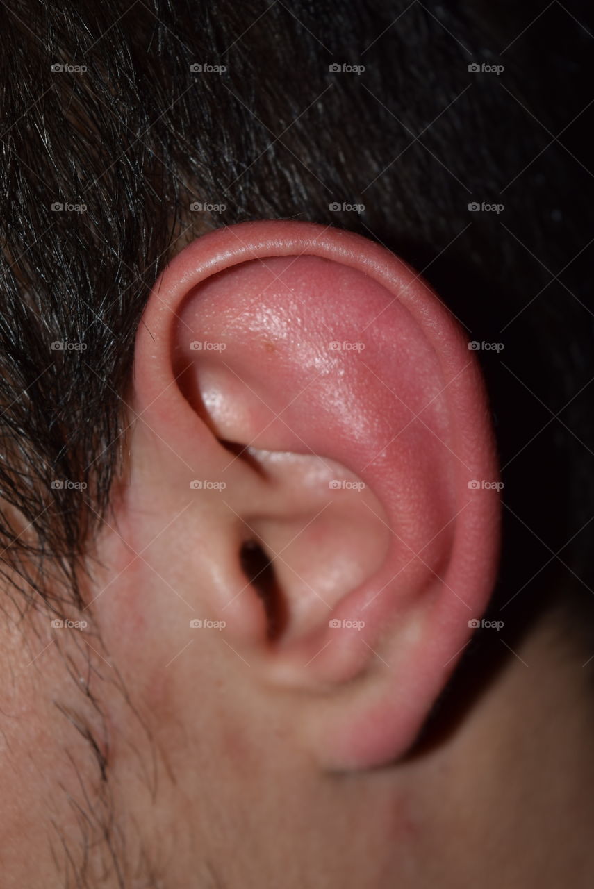Ohr hören menschliches Ohr hörorgan ear hearing