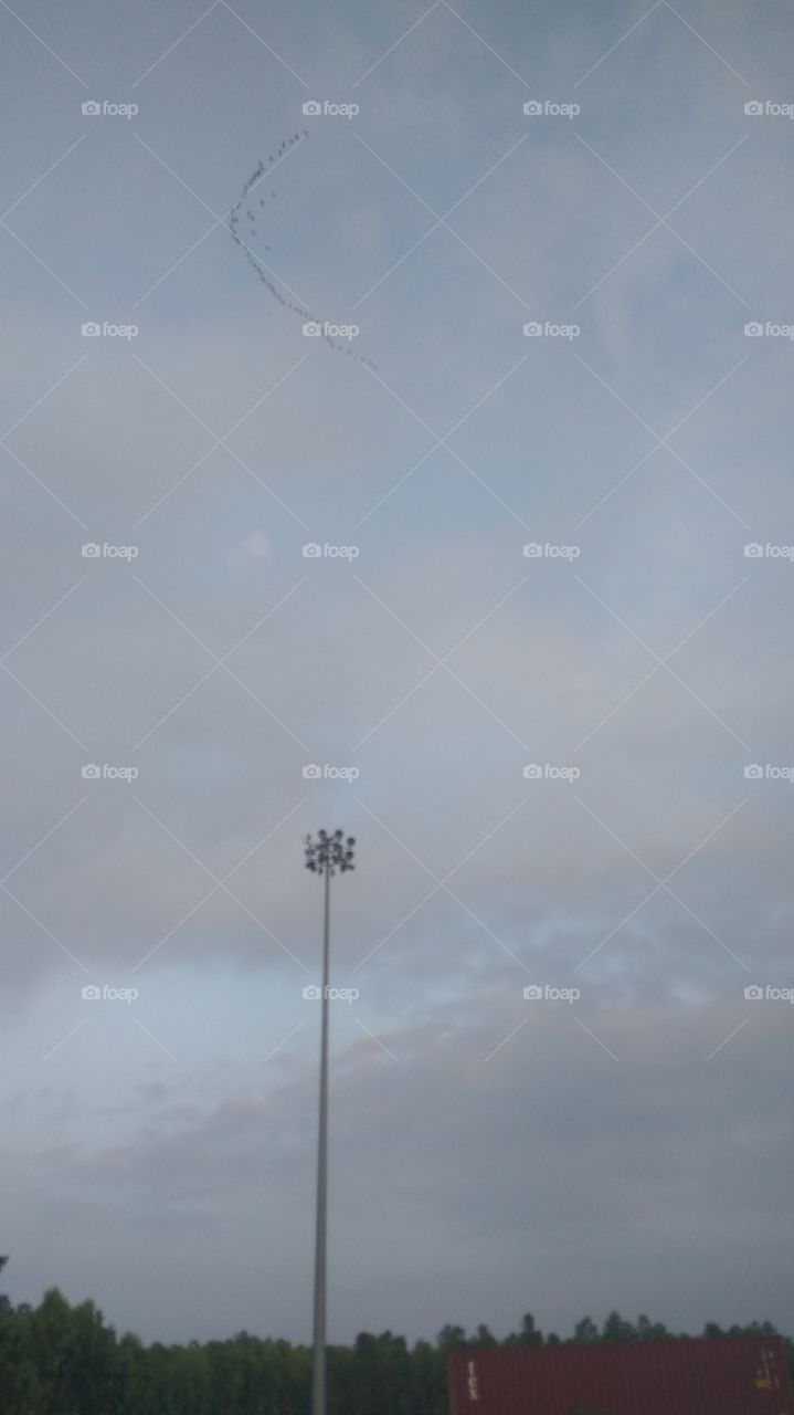 the lovely sky with top lights