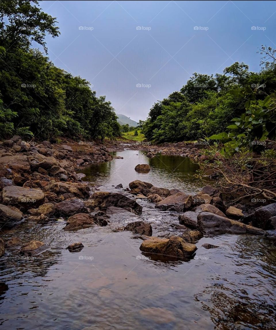 It doesn’t matter whether I’m hiking in the mountains or walking around the local park! There’s almost always something that makes me stop and stare. 😊