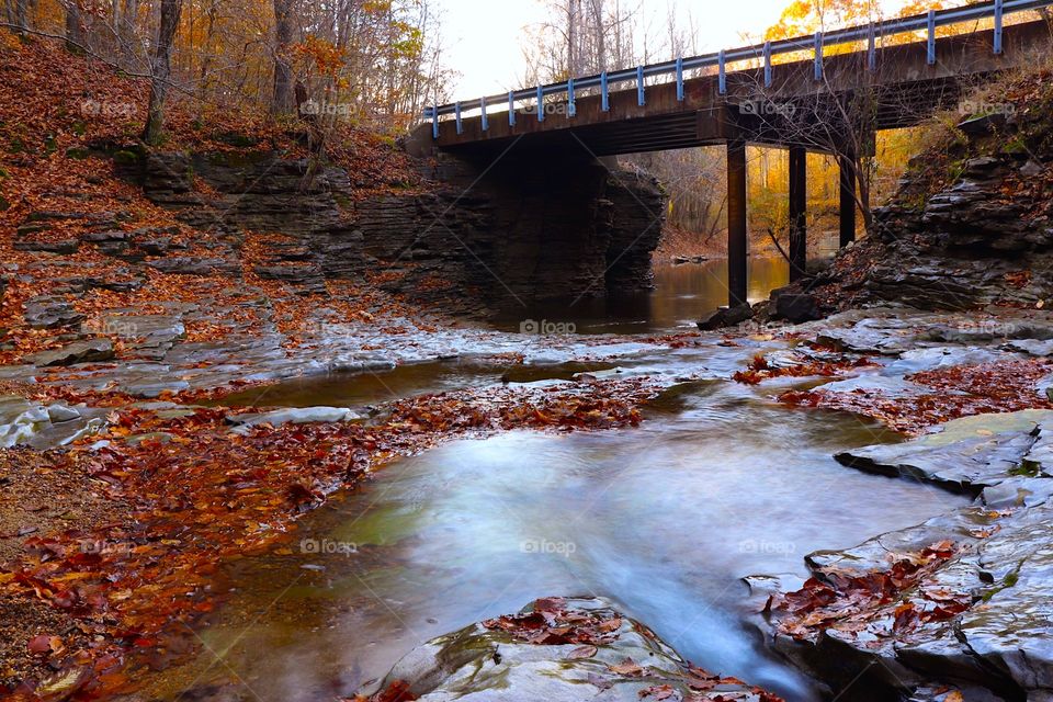 The bridge over beauty 