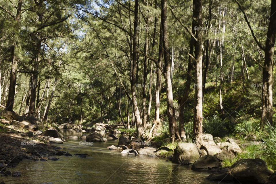 River Crossing Qld