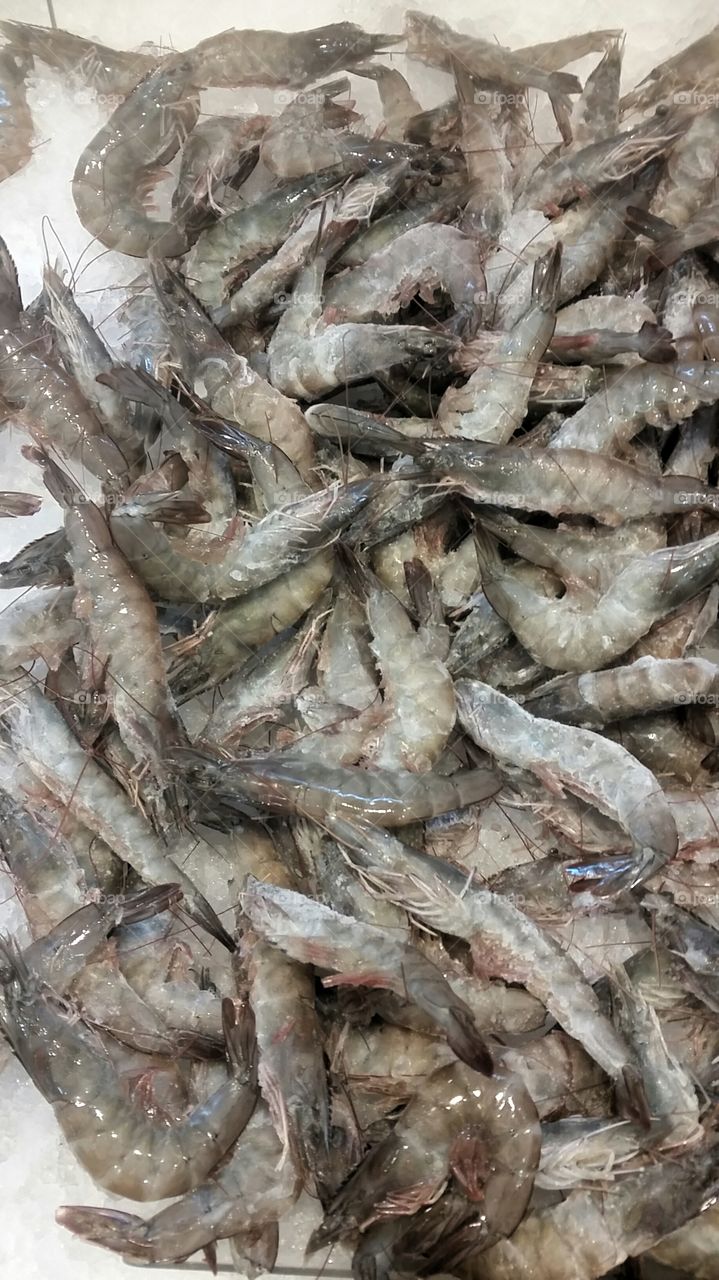 frozen prawns. for dinner tonight