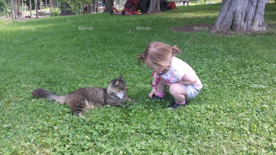 hey you. my daughter is hanging out with our friends cat upstate ny