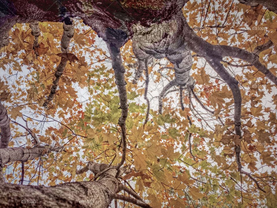 changing perspective