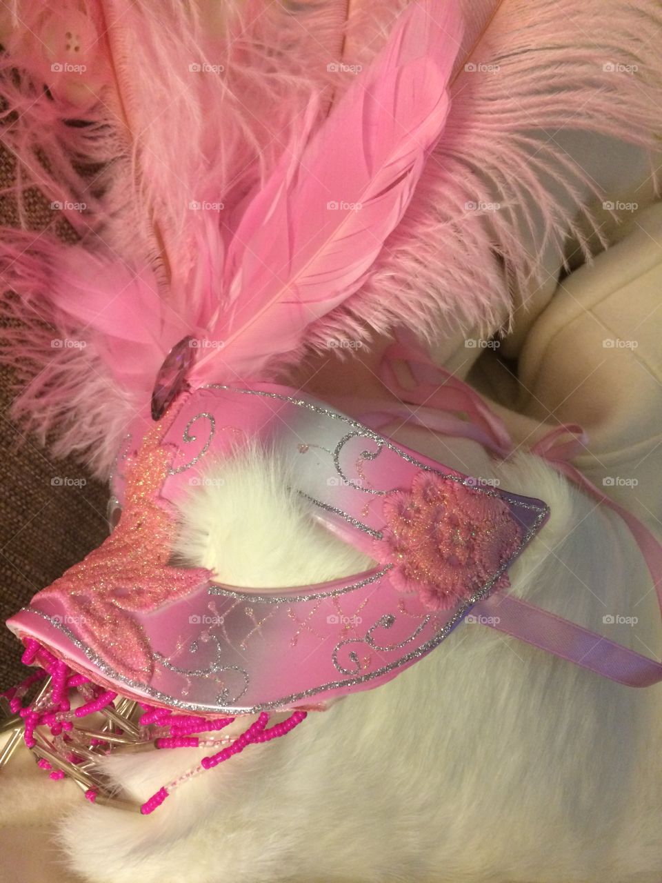 Masquerade ball 2017