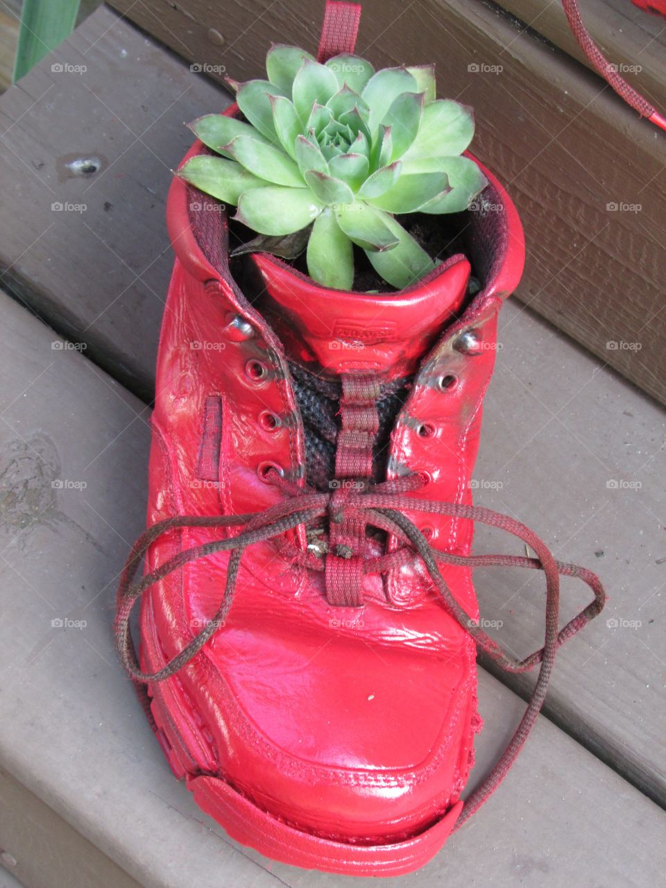 Red boot planter 