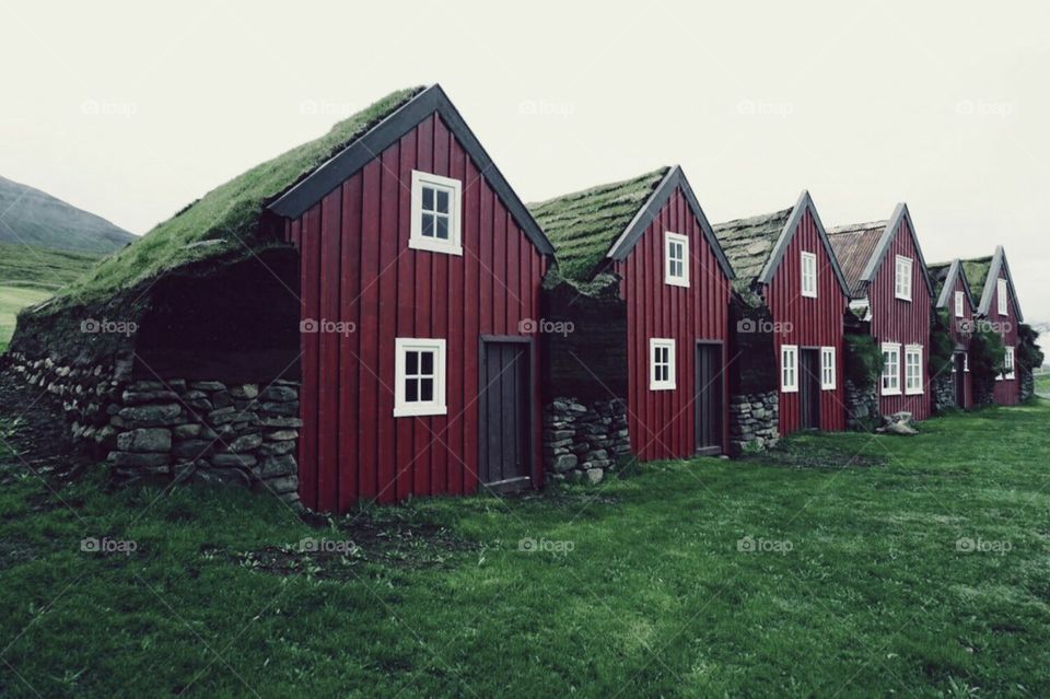 Red houses