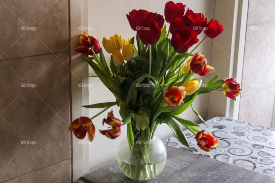 Tulips in a vase