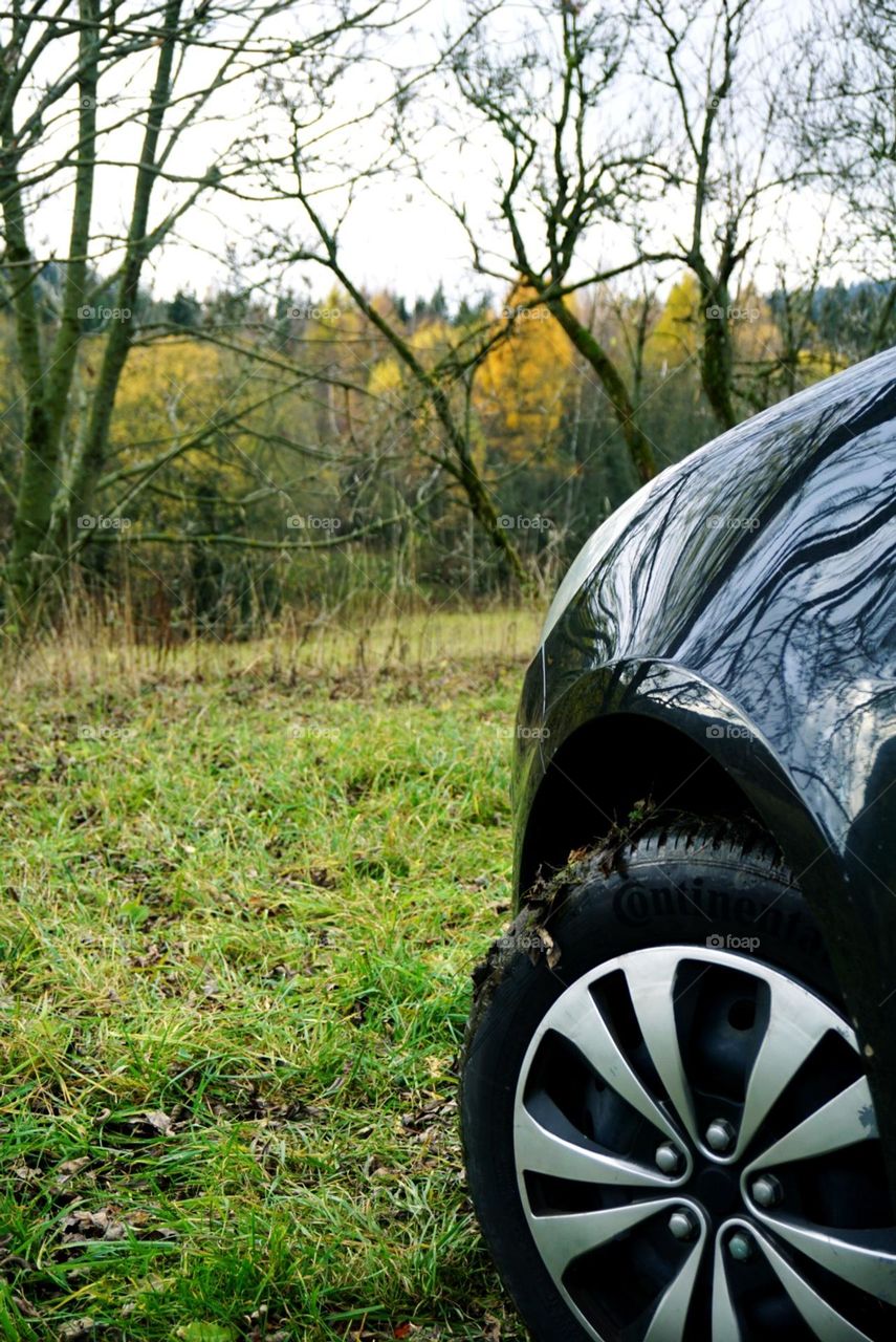 Car#nature#trees