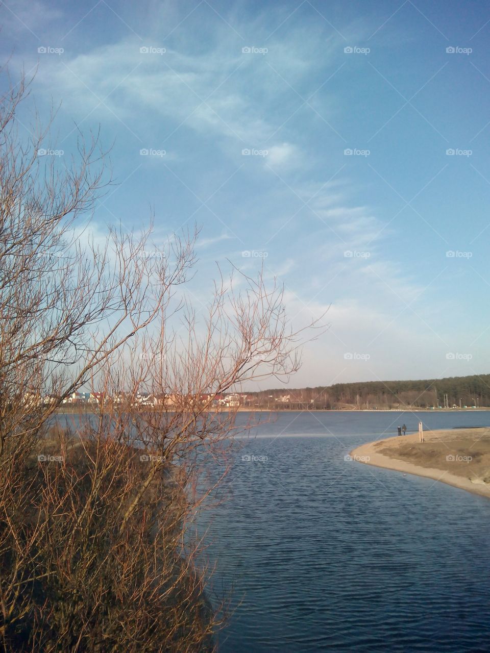 Winter, Water, No Person, Landscape, Tree