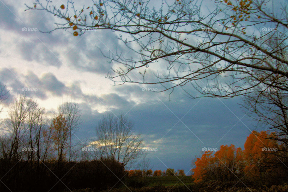 An autumn sky at dusk