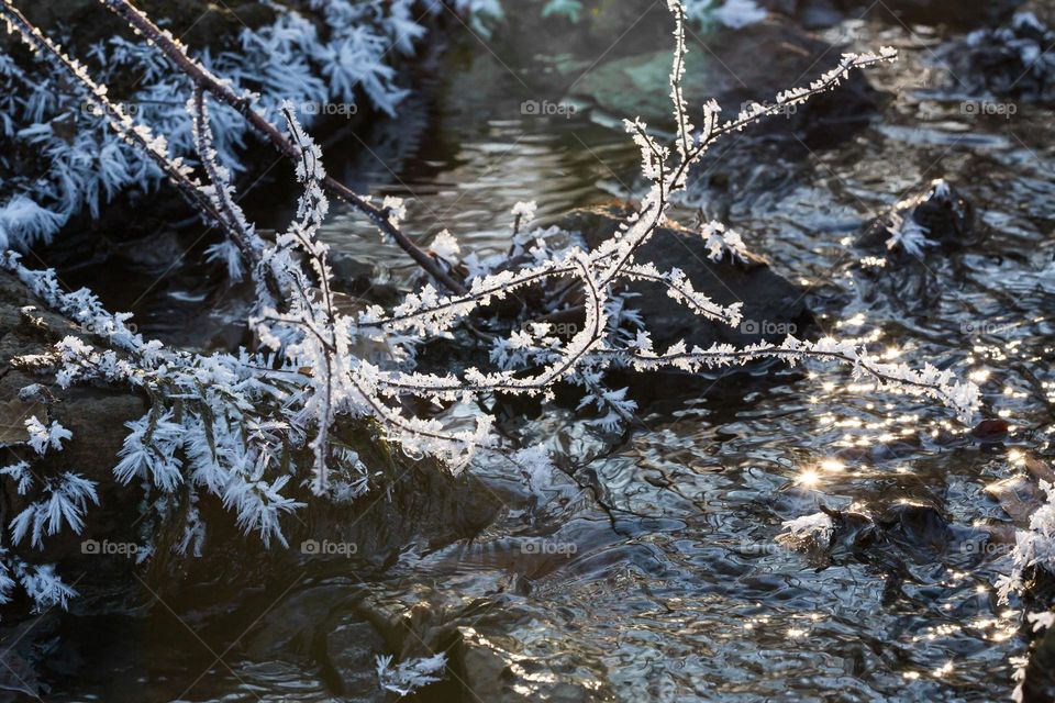 Sun shining on beautiful rime ice and  frost covering tree branches stones and rocks in the stream 