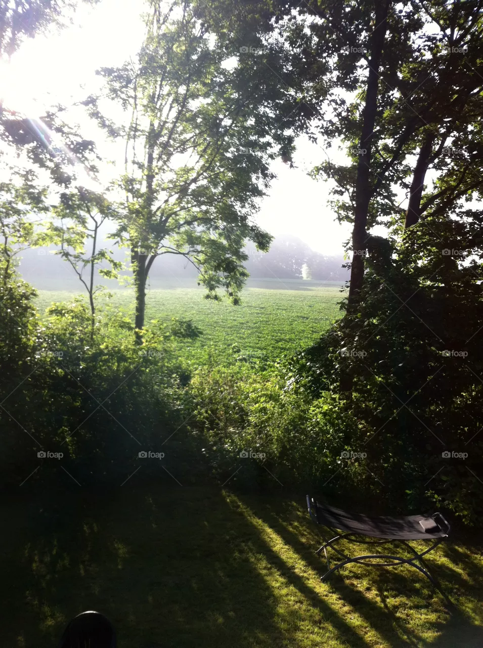 Nature