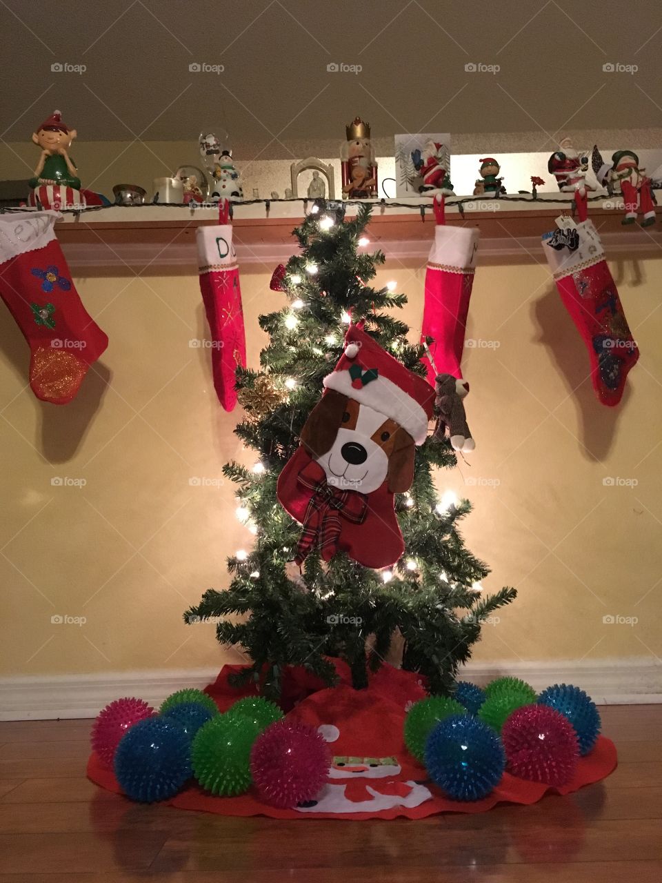 My beautiful rescue dog’s first Christmas 🎄