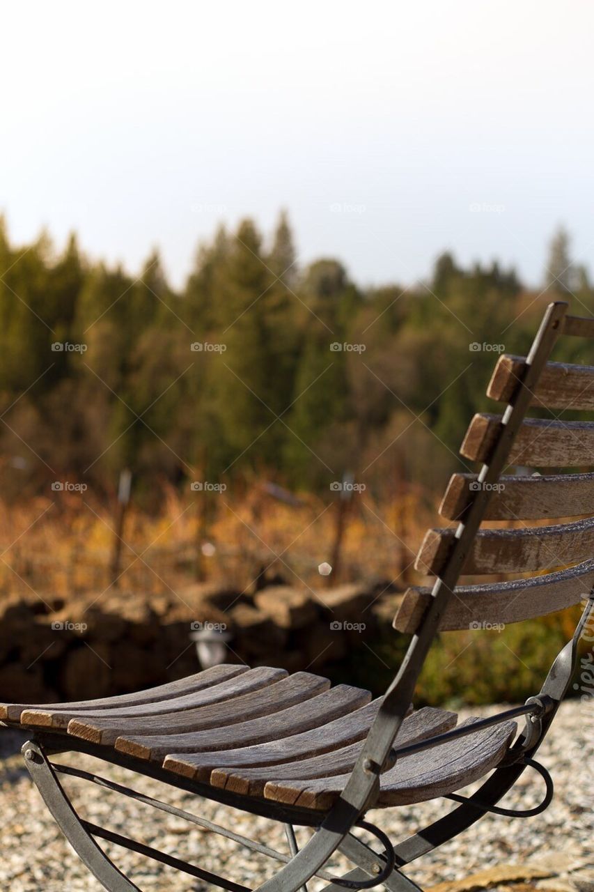 Lonely Chair