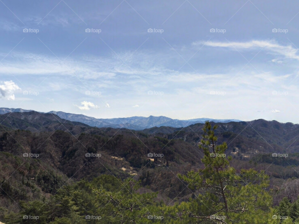 Красивый вид 