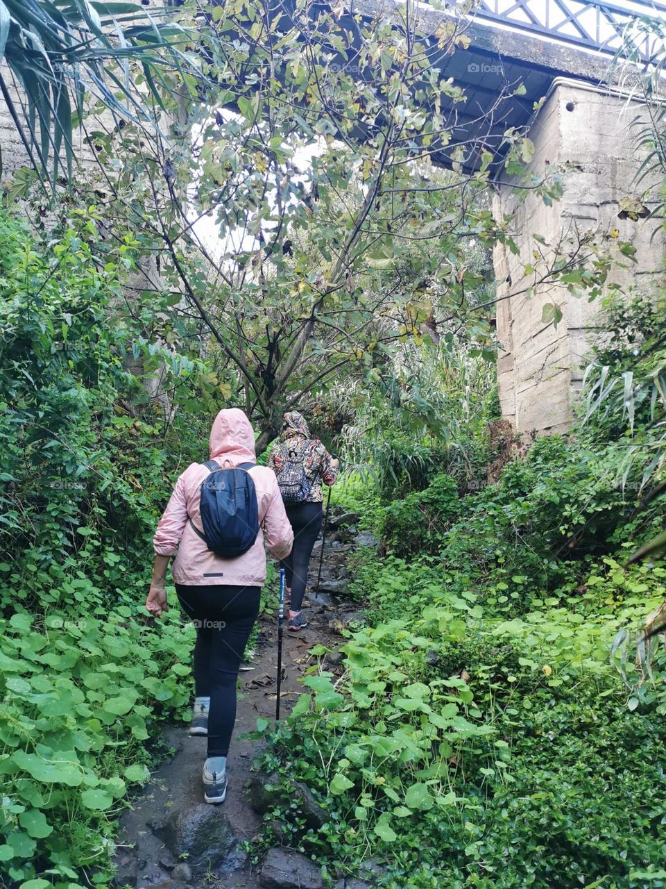 senderismo gran canaria Barranco de Teror