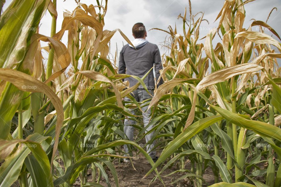 Standing in corn field