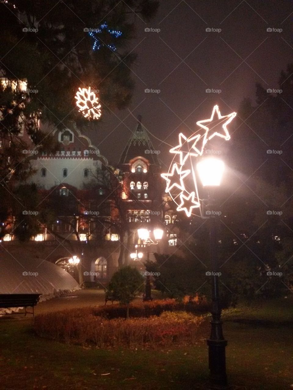 New year's tree in the park