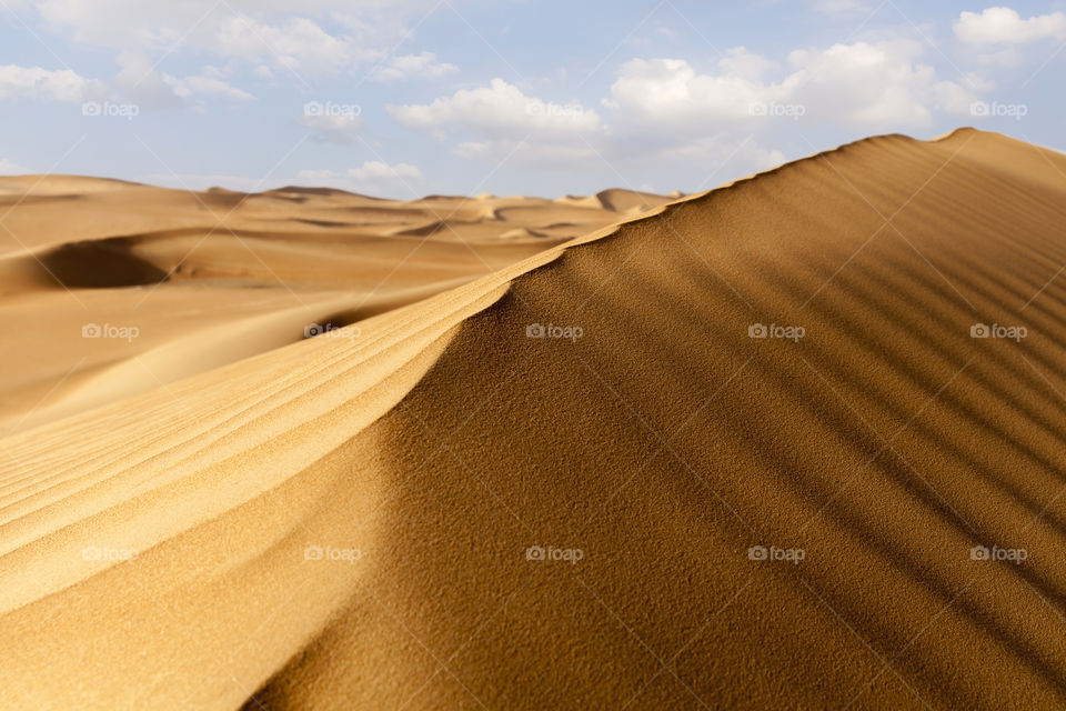Beautiful desert sand dune