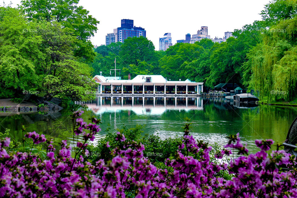 Tavern on the Green restaurant in Central Park New York City