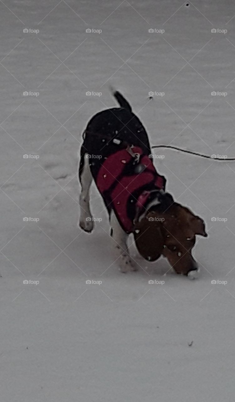Lady loves snow