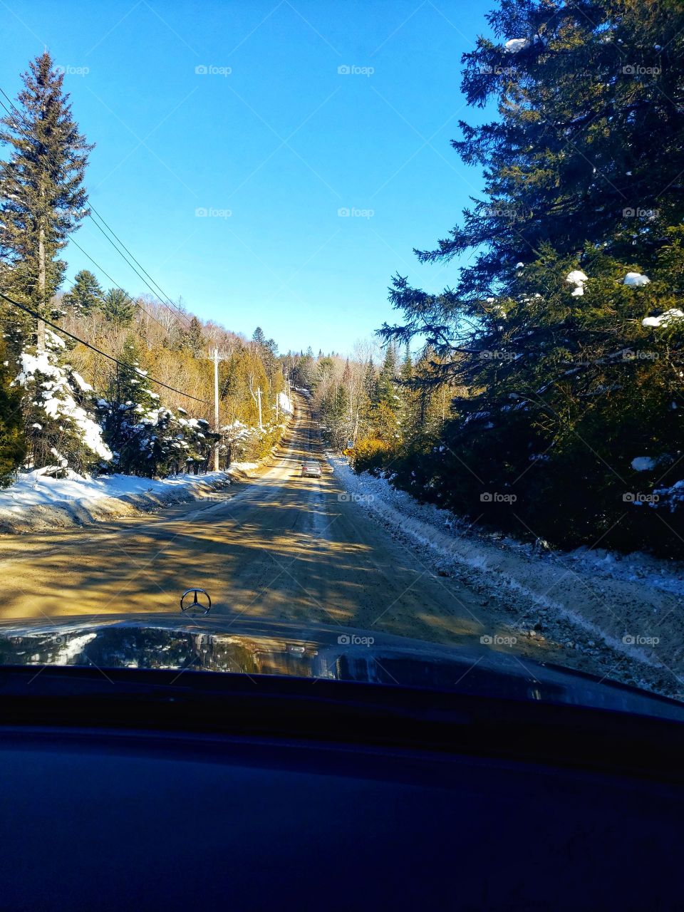 “Forest”. Voila!