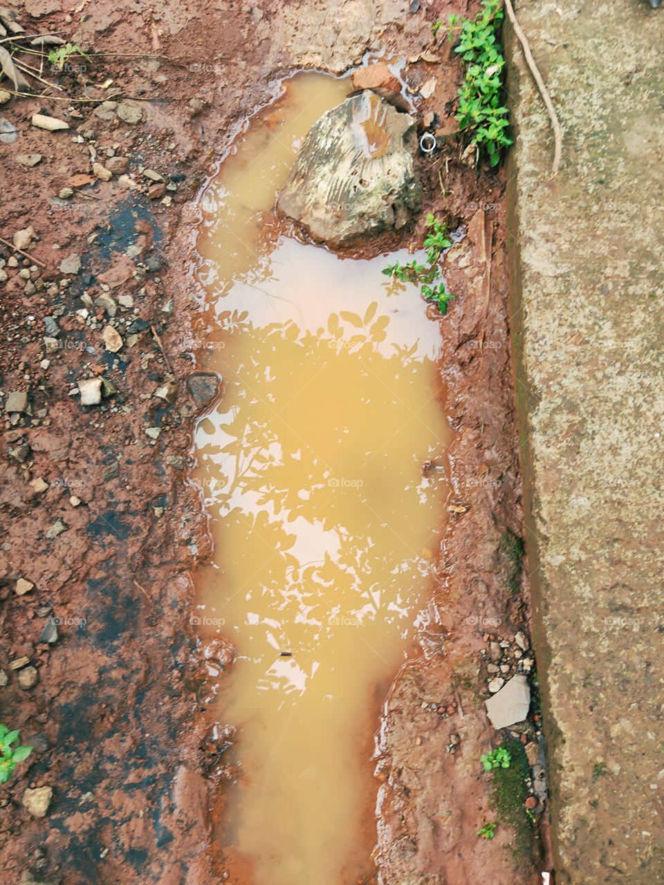puddles on the sidewalk mixed with brown mud