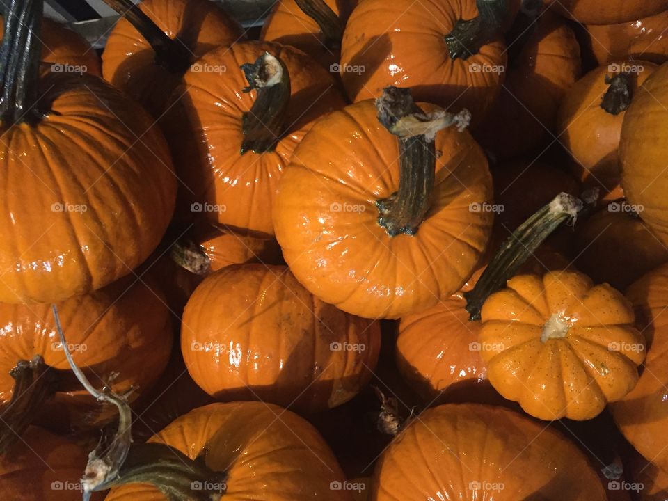 Wet pumpkins at night 
