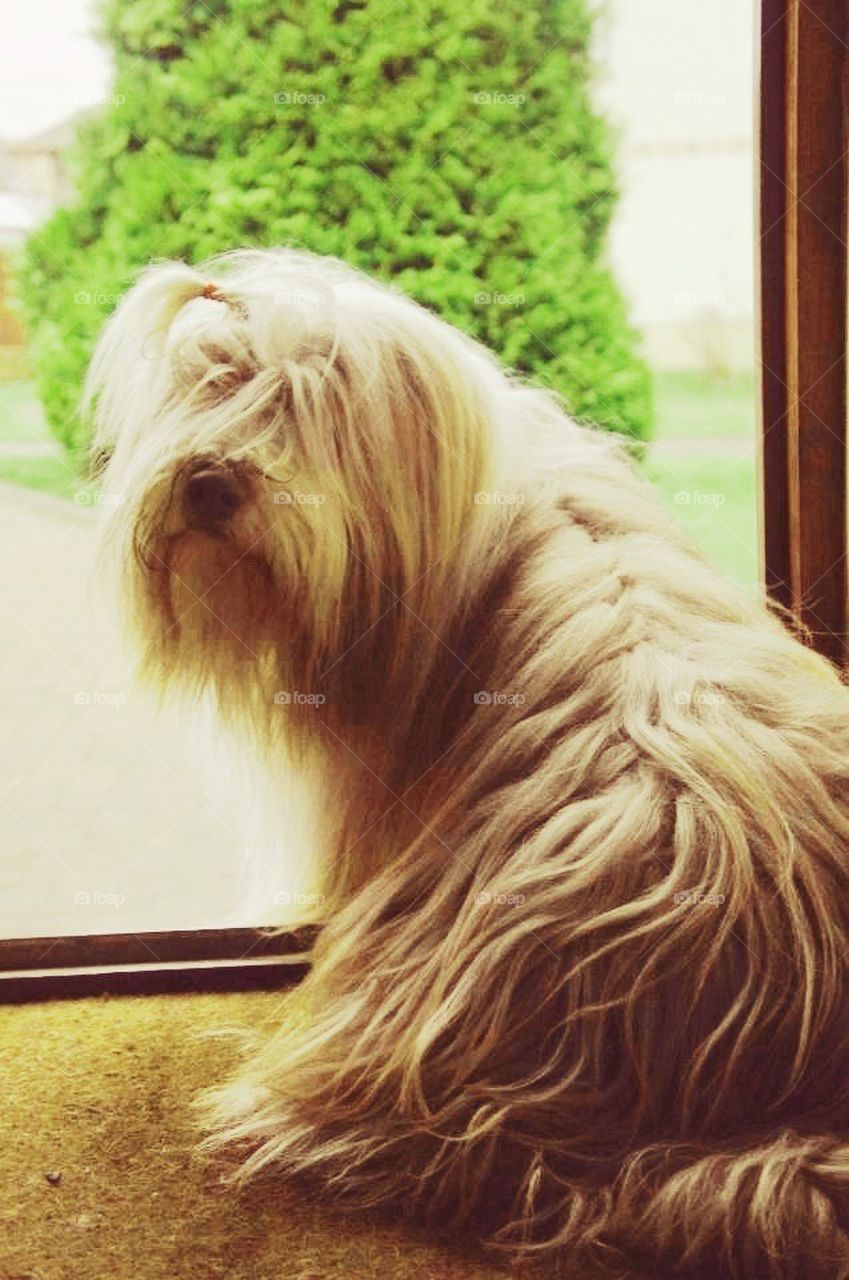 Dylan sitting at the front door