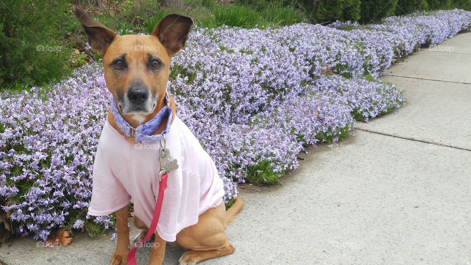 Somewhere in Lucy's World