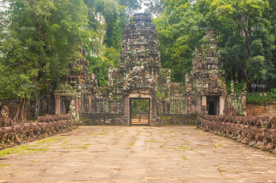 Angkor Park Cambodia Southeast Asia