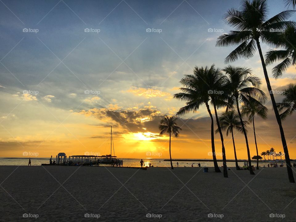 The Beautiful Sunset 