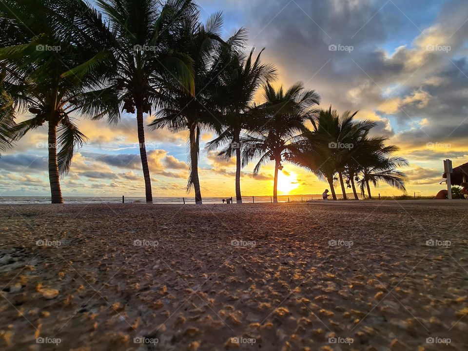 Beautiful cloudy sunset behind a line of palm trees leading to the horizon.