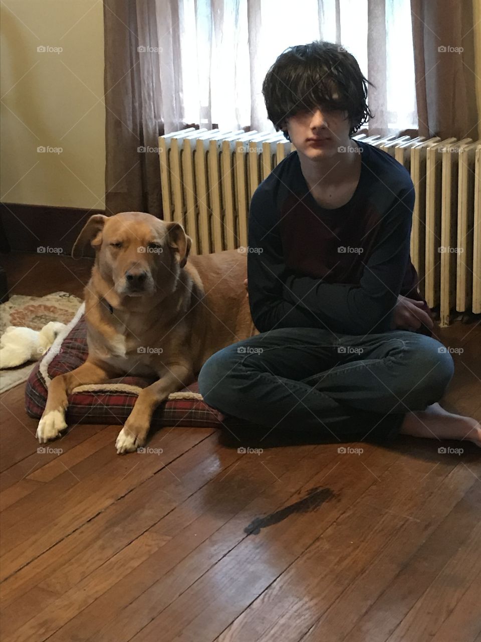 A boy and his dog 