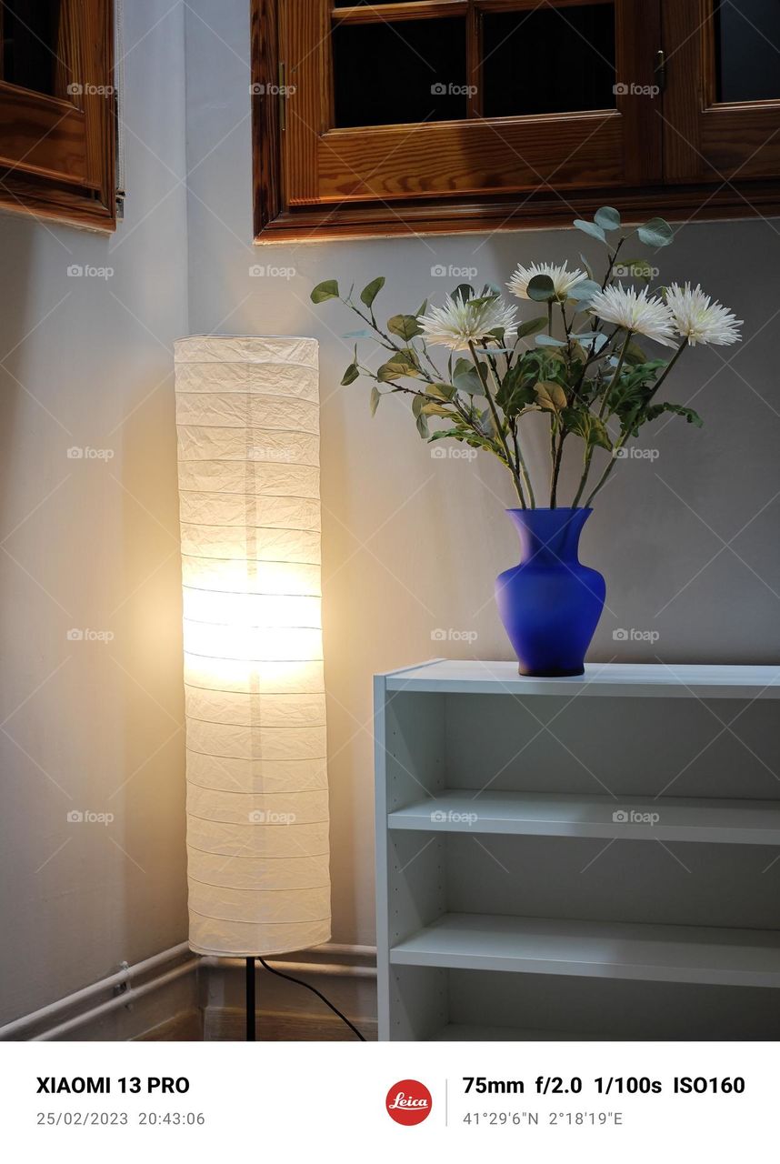 Flower vase with good lighting